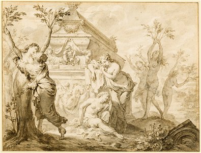 Godfried Maes - The Sisters of Phaeton Transformed into Poplars