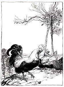 Fable-Esope-Rackham 34