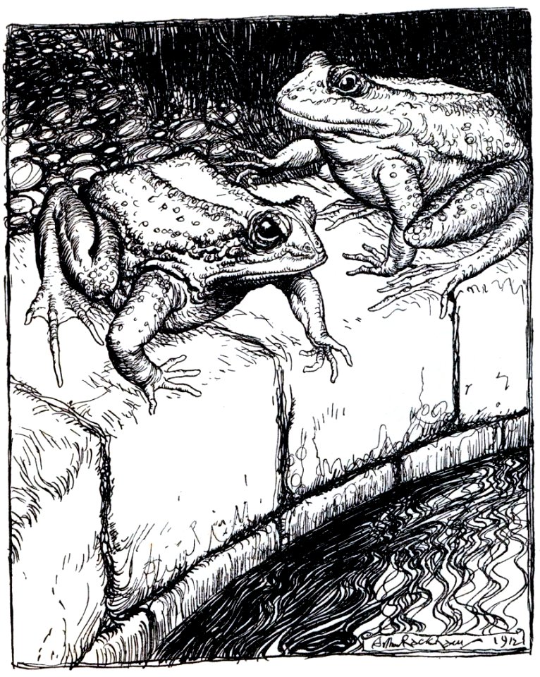 Fable-Esope-Rackham-11