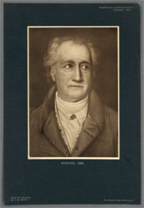 Goethe, 1828 (5236532)