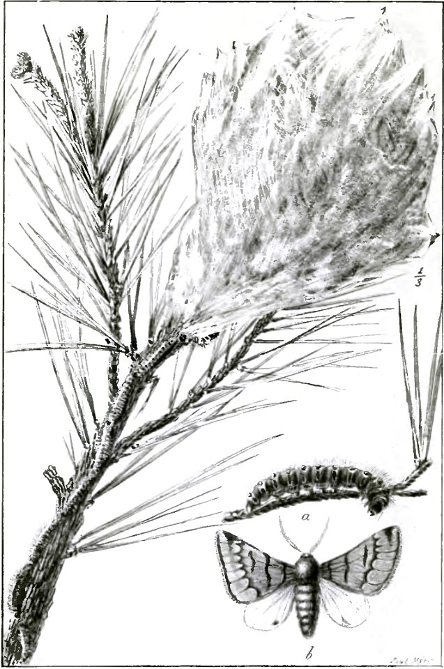 Fabre - Les Ravageurs Pl05
