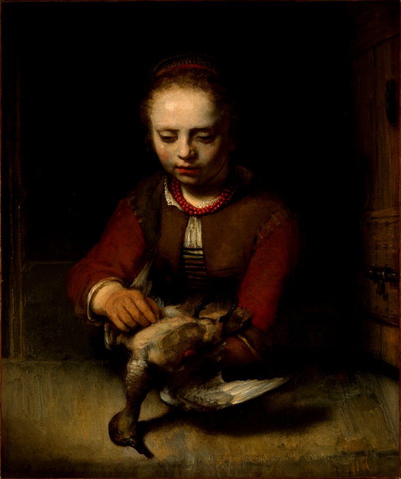 Barent Fabritius 001