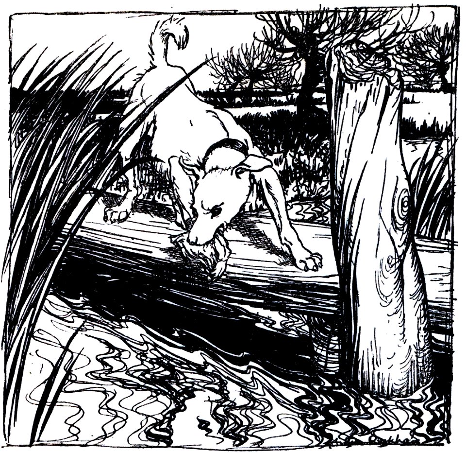 Fable-Esope-Rackham 20