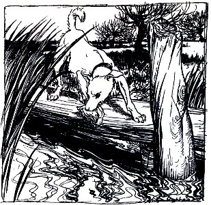 Fable-Esope-Rackham 20