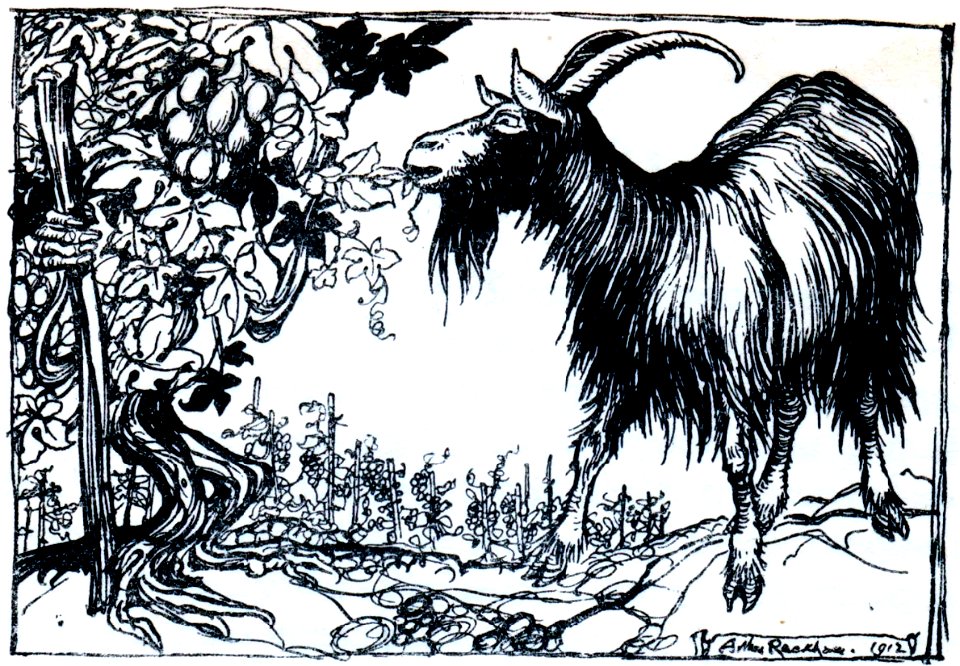 Fable-Esope-Rackham 31