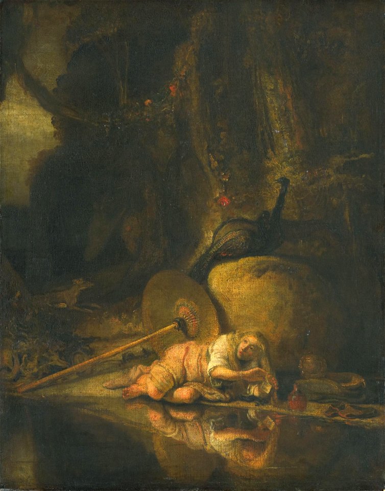 After Carel Fabritius 001
