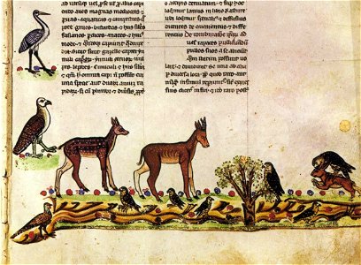 Falconry Book of Frederick II 1240s Deer and Birds