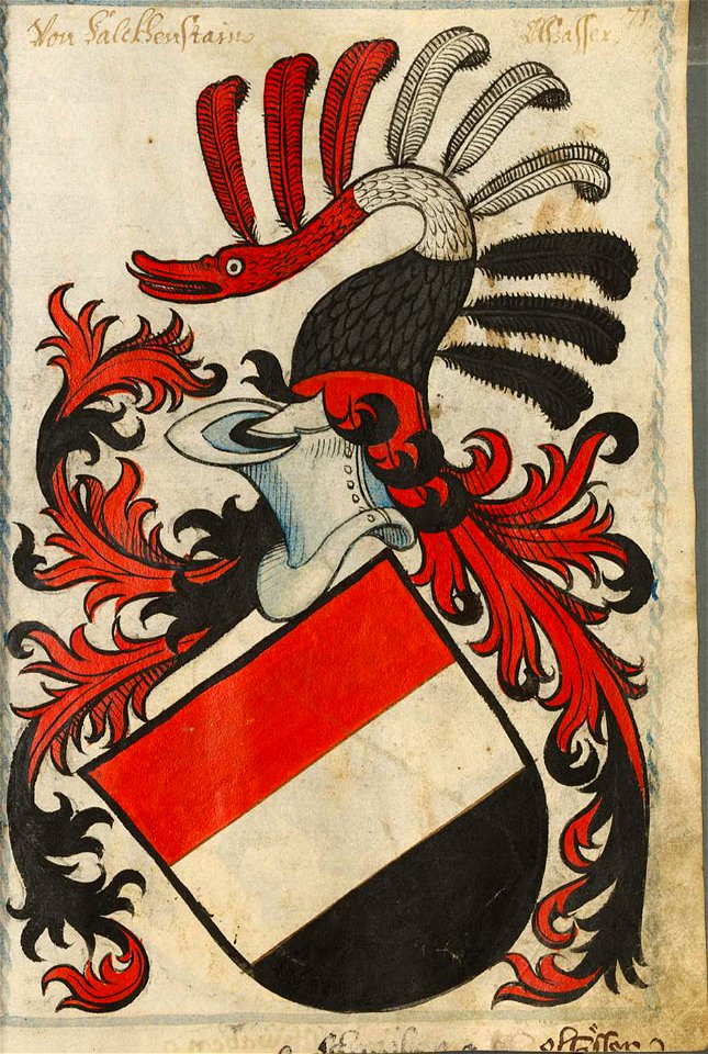 Falkenstein Scheibler71ps