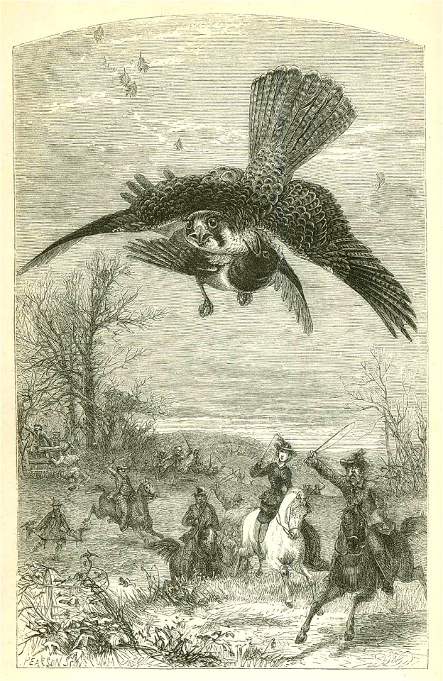 Falconery 1859