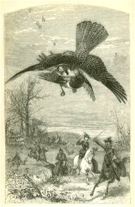 Falconery 1859