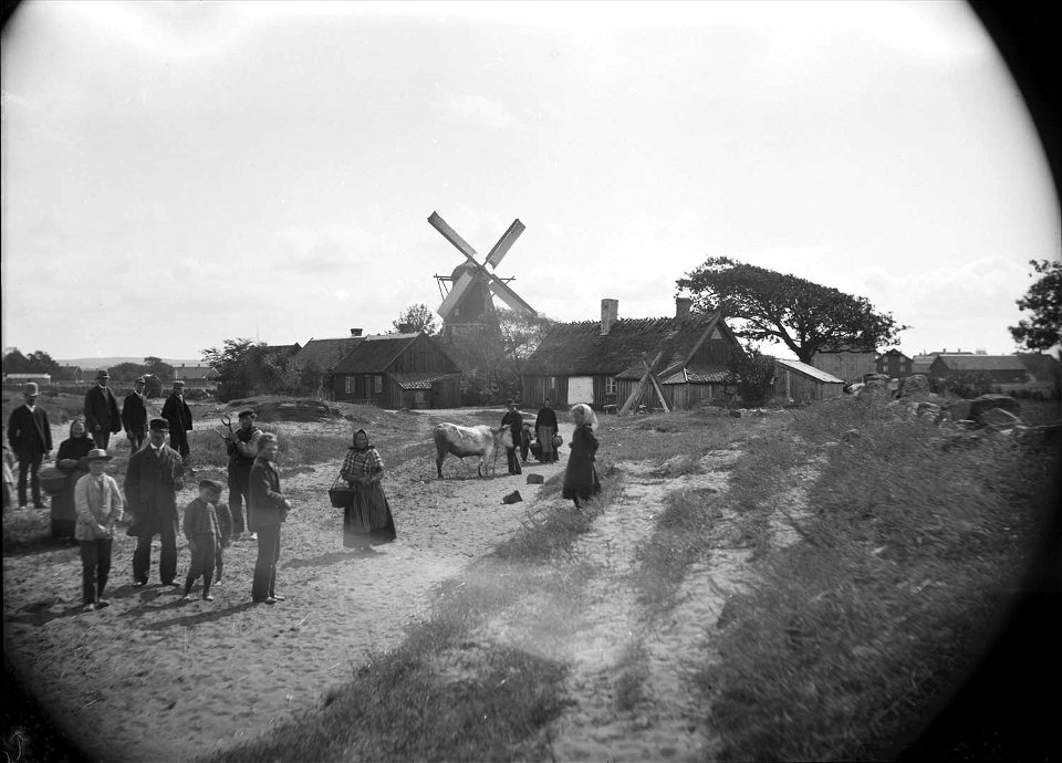 Falkenberg. Vy med små hus och en kvarn i bakgrunden - Nordiska Museet - NMA.0052570