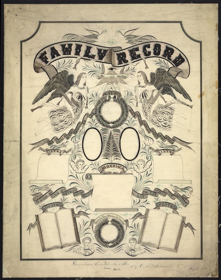 Family record - designed and executed with a pen by A.L. Silvernail, Ionia, Mich. LCCN2004662459
