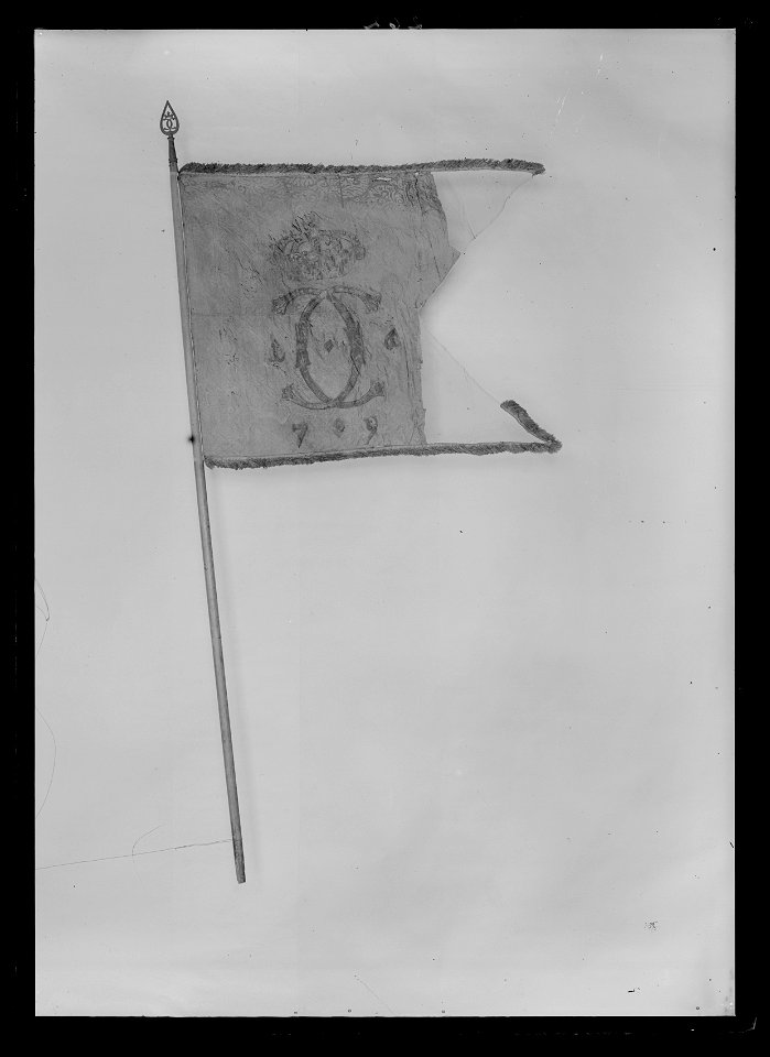 Fana - Livrustkammaren - 77443
