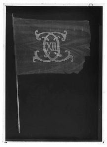 Fana av blått sidentaft med Karl XIIs namnchiffer - Livrustkammaren - 60345-negative. Free illustration for personal and commercial use.