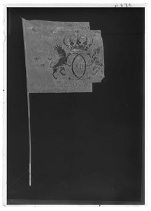 Fana vid det Sachsiska regementet uppsatt av Överste Johan Baptista Schorner 1707 - Livrustkammaren - 51796-negative