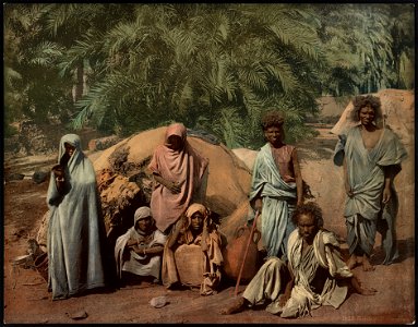 Famille de Bischarins LCCN2017658155
