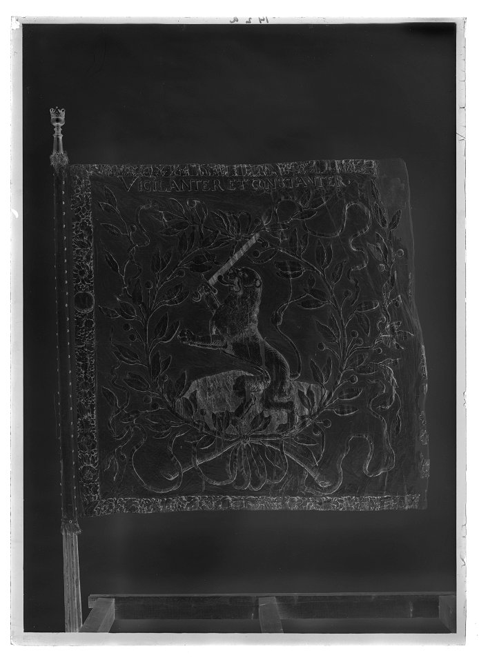 Fana - Livrustkammaren - 51768-negative