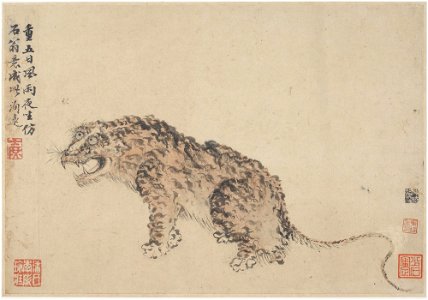 Fang Shishu - Album of Landscapes, Plants, Figures and Animals, Tiger in the Style of Shen Zhou - y1962-111 j - Princeton University Art Museum