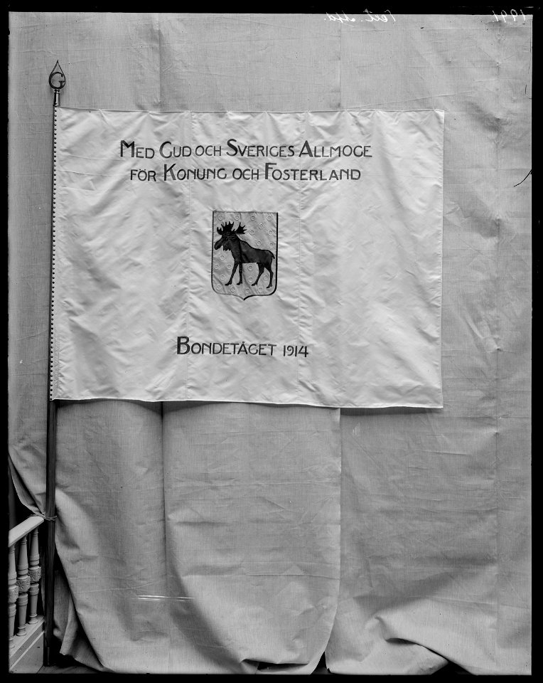 Fana från Bondetåget 1914 - Livrustkammaren - 45623