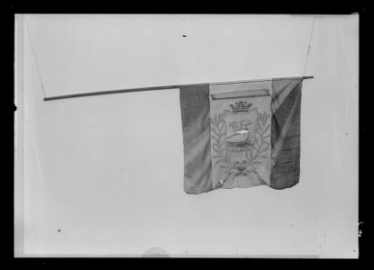 Fana för Eriksbergs socken i Gäsene härad - Livrustkammaren - 43222