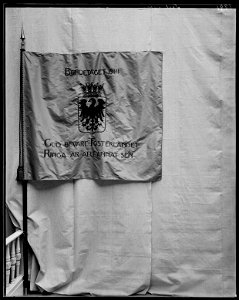 Fana från Bondetåget 1914 - Livrustkammaren - 28504