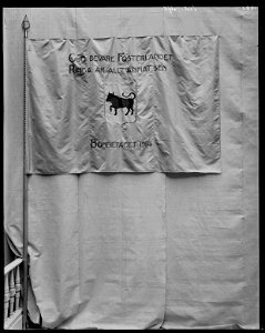 Fana från Bondetåget 1914 - Livrustkammaren - 54184