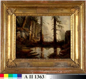 Fanny Churberg - A Forest Pond, after H. A. Cappelen - A II 1363 - Finnish National Gallery