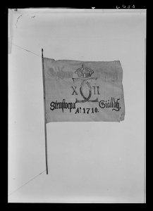 Fana för Stenstorp socken i Gudhems härad - Livrustkammaren - 17542