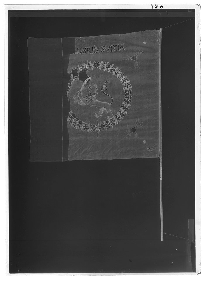 Fana m lejon - Livrustkammaren - 68929-negative