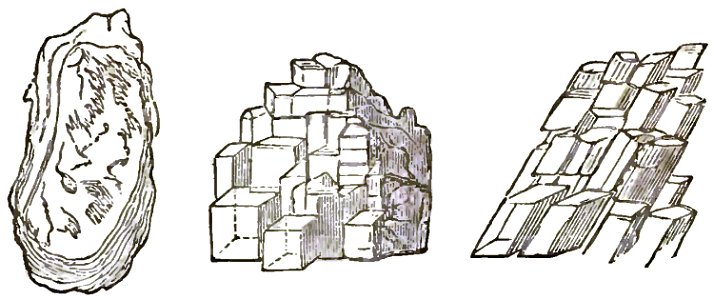 Faraday On the various forces of nature p062