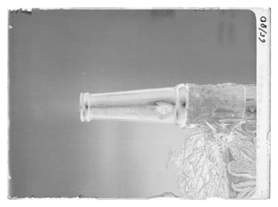 Fanspets C - Livrustkammaren - 36994-negative