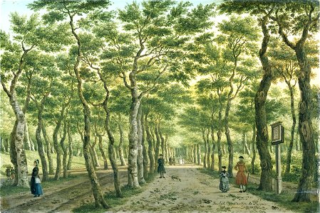 Fargue, Paulus Constantijn la - Het Herepad in het Haagse Bos
