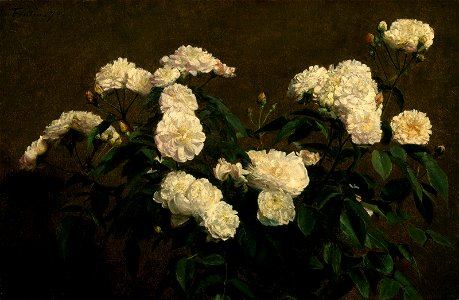 Henri Fantin-Latour - Still Life of White Roses - 79.183 - Museum of Fine Arts