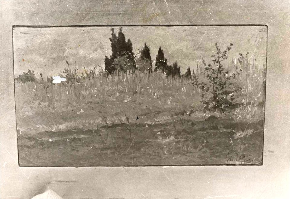 Fattori - Paesaggio, Ubicazione sconosciuta