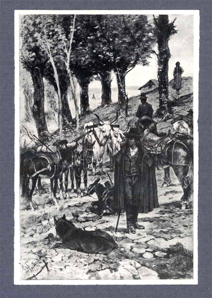 Fattori - Paesaggio con buoi al pascolo, Collezione G. Malesci