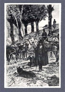 Fattori - Paesaggio con buoi al pascolo, Collezione G. Malesci