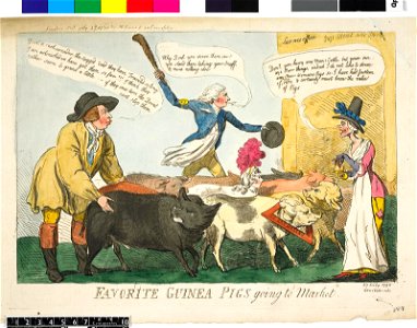 Favorite guinea pigs going to market. (BM 1868,0808.6458 1)