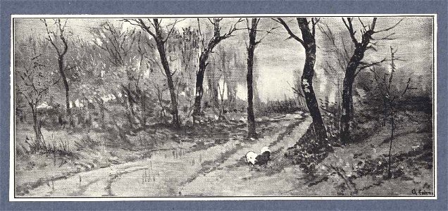 Fattori - Autunno, Collezione A. Corradini