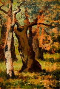 Fattori - Bozzetto della lecceto, Sale 869
