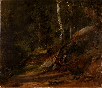 Thomas Fearnley - Forest Study from Romsdal - NG.M.01308 - National Museum of Art, Architecture and Design
