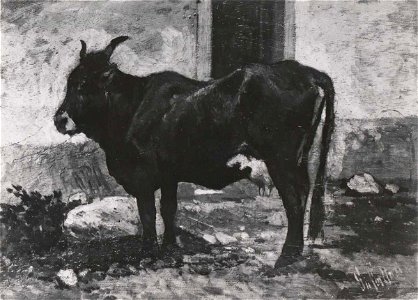 Fattori - Mucca, Collezione G. Malesci