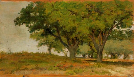 Fattori - Querceto, 1894, 353