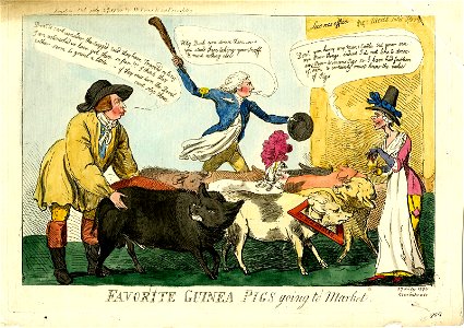 Favorite guinea pigs going to market. (BM 1868,0808.6458)