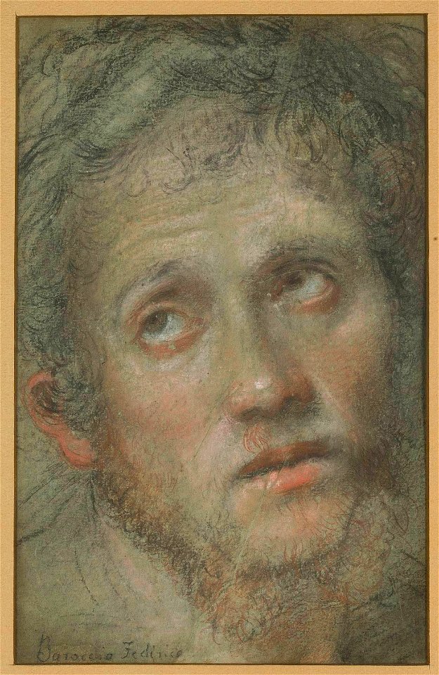 Federico Barocci - Głowa młodego mężczyzny