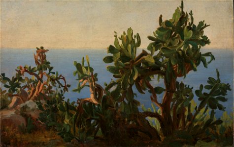 Thomas Fearnley - Cactus - NG.M.01818 - National Museum of Art, Architecture and Design