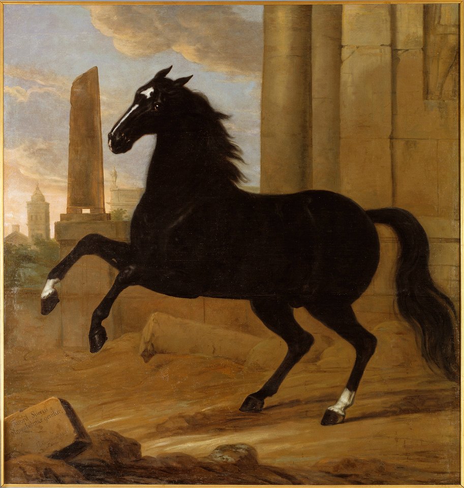 Favourite, one of King Karl XI's riding horses (David Klöcker Ehrenstrahl) - Nationalmuseum - 39546