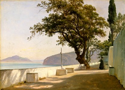 Thomas Fearnley - Terrace with Oak, Sorrento - Google Art Project