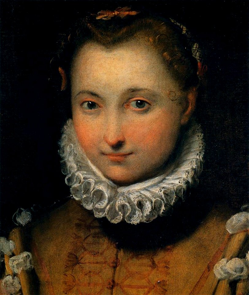 Federico Barocci - Portrait of a Young Woman - WGA1295
