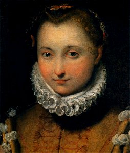 Federico Barocci - Portrait of a Young Woman - WGA1295. Free illustration for personal and commercial use.