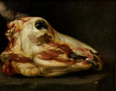 Felice Boselli - Skinned Head of a Young Bull - Google Art Project